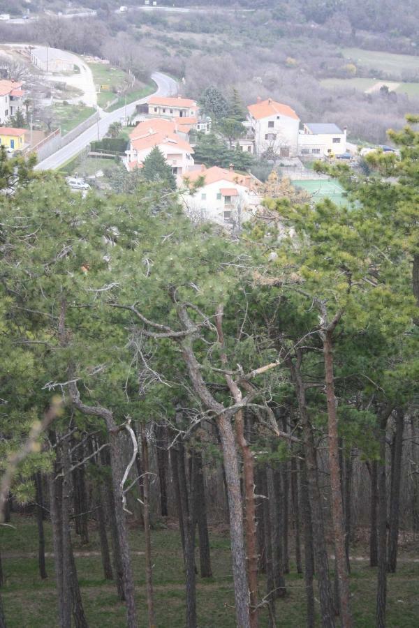 לאבין Branka Apartments מראה חיצוני תמונה