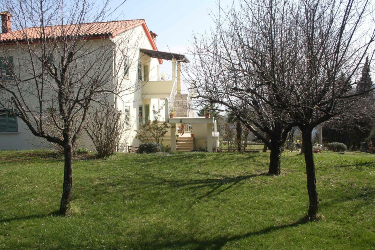 לאבין Branka Apartments מראה חיצוני תמונה